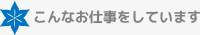 こんなお仕事をしています